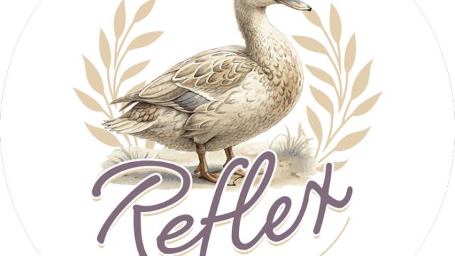 Reflex Logo web